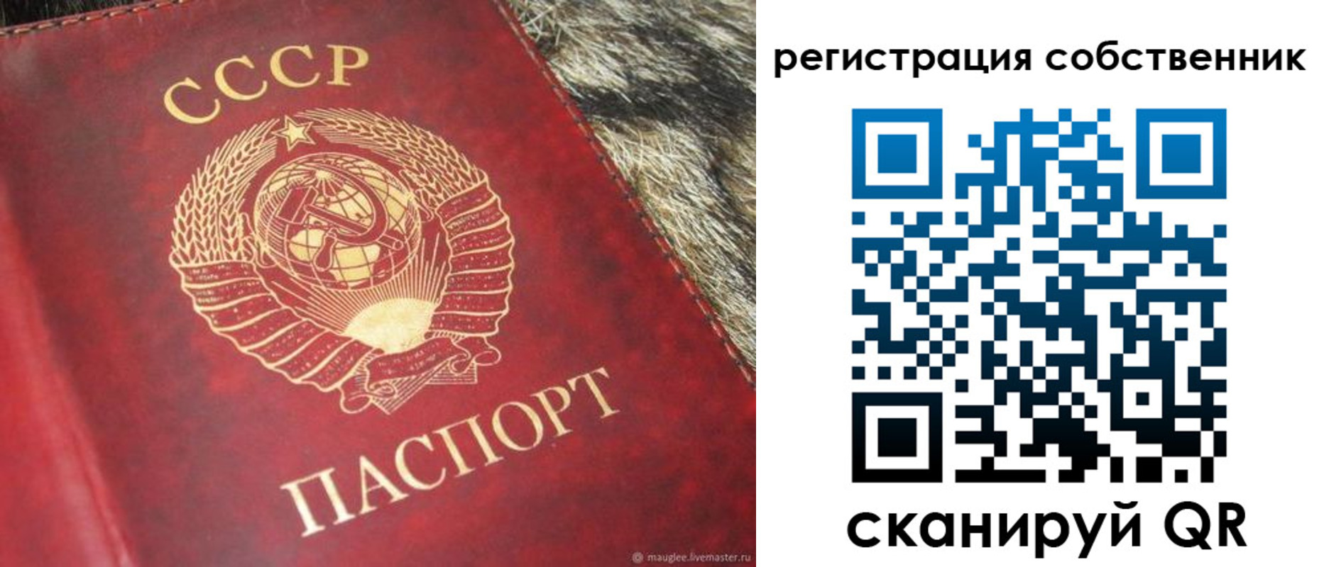 временная регистрация надежно в Старой Купавне